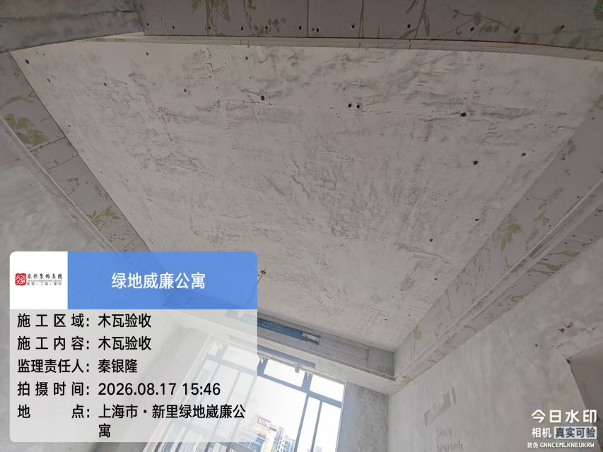 第 22 次更新|木工阶段|2026年8月17日图片